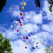 assorted-color balloons flying on the sky